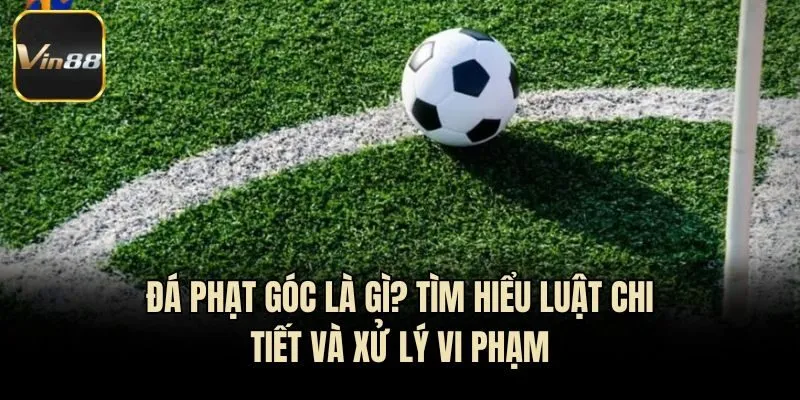 Đá Phạt Góc Là Gì? Tìm Hiểu Luật Chi Tiết Và Xử Lý Vi Phạm