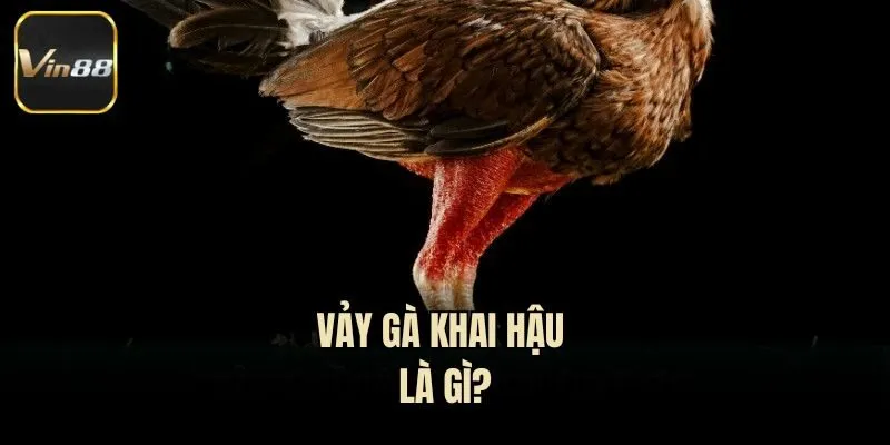 Vảy gà khai hậu là gì?